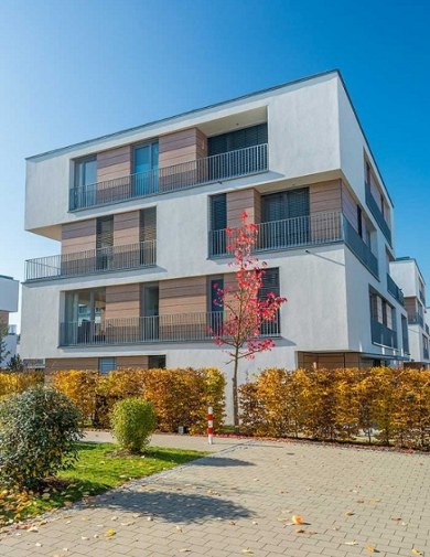 Diagnostic immobilier Boën 42130
